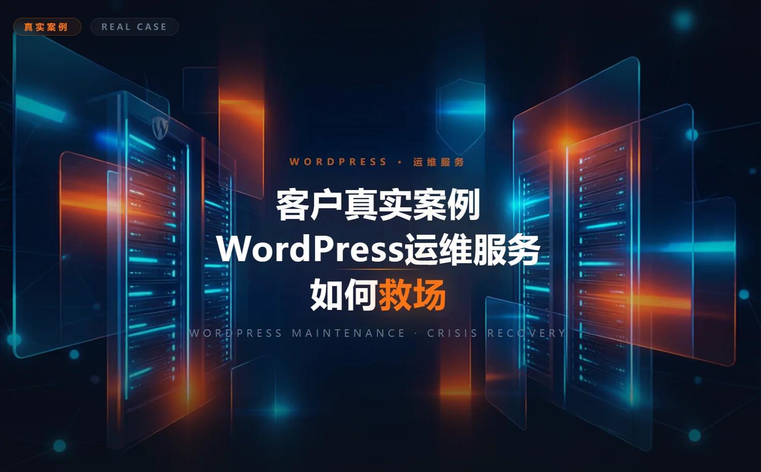 客户真实案例:wordpress运维服务如何救场2026